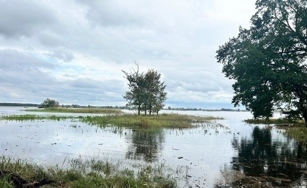 Duże spadki wody w Krośnie Odrzańskim. Fala zbliża się do Kostrzyna nad Odrą