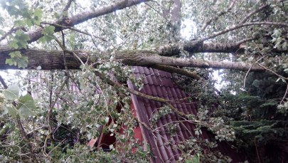 Duże zniszczenia po nawałnicy w powiecie drawskim. "Świadkowie mówili o trąbie powietrznej"