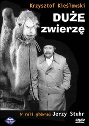 Duże zwierzę