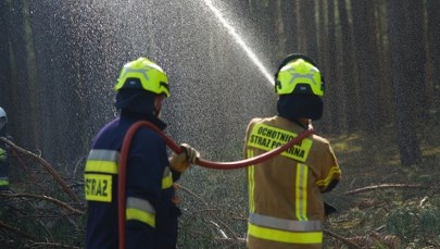 ​Duży pożar lasu na Pomorzu. W akcji gaśniczej wykorzystano samolot