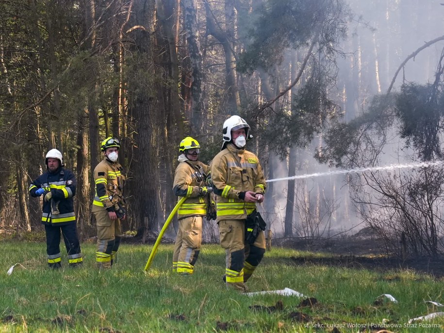 Duży pożar lasu w Hutkach koło Częstochowy /st. sekc. Łukasz Wołosz /Państwowa Straż Pożarna