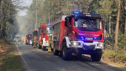 Duży pożar lasu w Małopolsce. "Strażacy wycofują się"