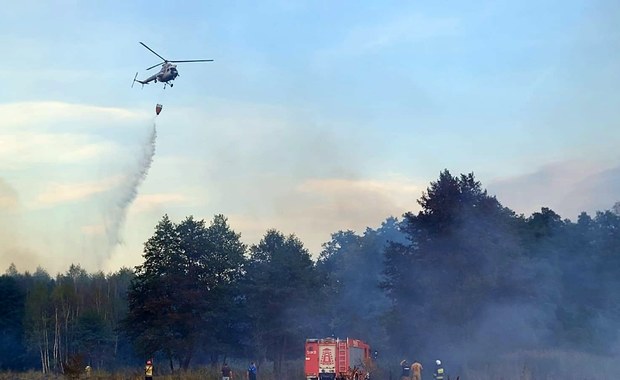 Duży pożar lasu w rejonie Niska. Samolot gaśniczy i śmigłowiec w akcji