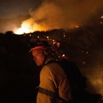 Duży pożar w Kalifornii. Z ogniem walczy ponad pół tysiąca strażaków