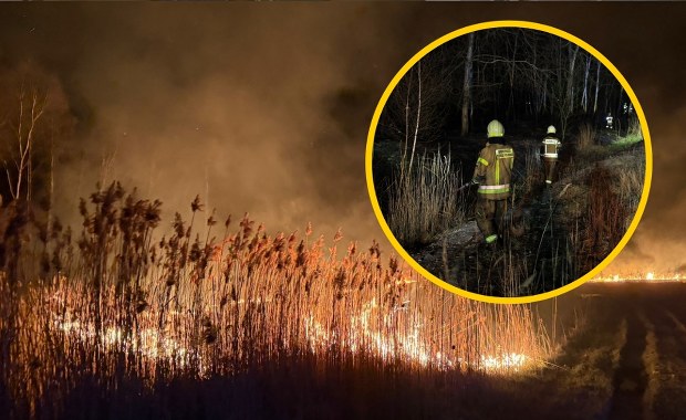 Duży pożar w Lędzinach. Straż przypomina o surowych karach