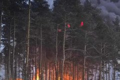 Duży pożar w Śląskiem: Hala produkcyjna stanęła w płomieniach