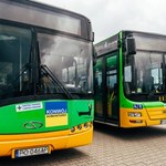 Dwa autobusy MPK Poznań pojadą do Lwowa