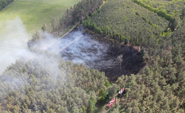 ​Dwa groźne pożary w Wielkopolsce. Hala magazynowa i 5 hektarów lasu w ogniu