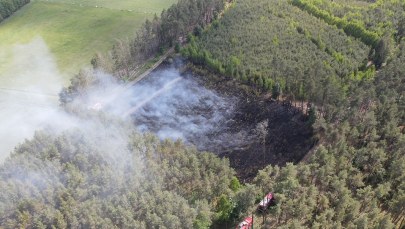 ​Dwa groźne pożary w Wielkopolsce. Hala magazynowa i 5 hektarów lasu w ogniu