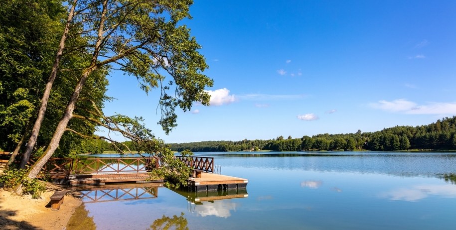 Dwa kąpieliska na Kaszubach zamknięte z powodu zakwitu sinic /Shutterstock