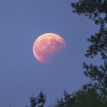 Dwa niezwykłe zjawiska w jednym czasie. Krwawy Księżyc zdarza się raz na 3 lata