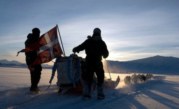 "Dwa psie zaprzęgi". Trump kpi z Danii, Grenlandii i NATO, ale mija się z prawdą