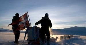 "Dwa psie zaprzęgi". Trump kpi z Danii, Grenlandii i NATO, ale mija się z prawdą