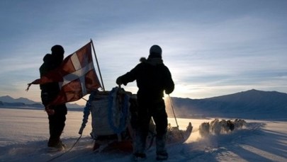 "Dwa psie zaprzęgi". Trump kpi z Danii, Grenlandii i NATO, ale mija się z prawdą