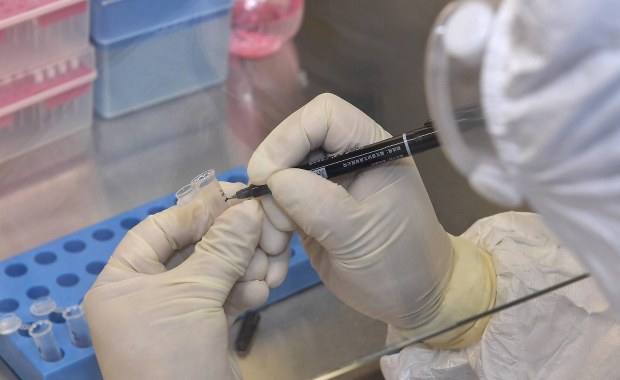 Dwa szczepy koronawirusa. Jeden bardziej niebezpieczny...