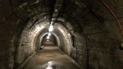 Dwa zespoły będą poszukiwać "złotego pociągu"