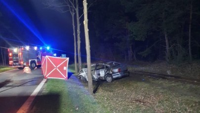 Dwa zwęglone ciała w aucie. Pojazd spłonął po uderzeniu w drzewo