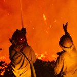 Dwaj amerykańscy strażacy zastrzeleni przez snajpera