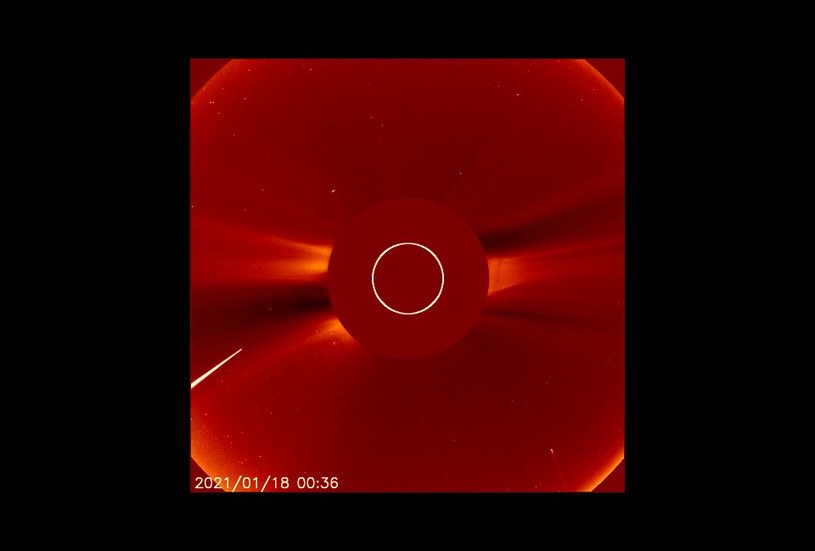 Dwie komety w pobliżu Słońca w obiektywie LASCO C2 sondy SOHO / Foto- NASA, ESA, SOHO /materiały prasowe