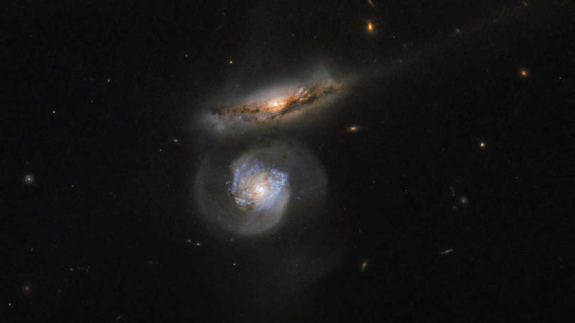 Dwie oddziałujące ze sobą galaktyki NGC 5765A i B, z których ta druga (niebieska) skrywa wewnątrz megamaser /NASA
