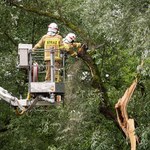 Dwie osoby ranne po burzach nad Polską. IMGW ostrzega przed trąbami powietrznymi 