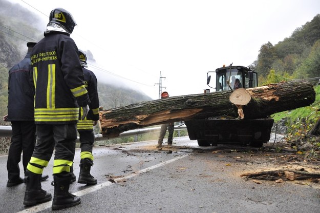 Dwie osoby zginęły, gdy na samochód, w którym jechały, spadło drzewo /THIERRY PRONESTI /PAP/EPA