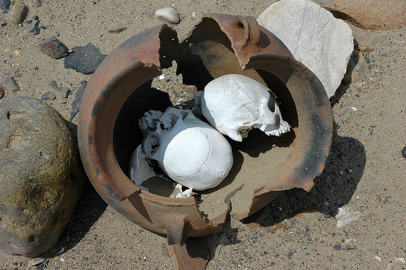 Dwie zdeformowane czaszki odnalezione w Peru / Werner Forman/Universal Images Group /Getty Images