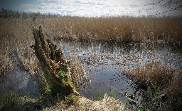 Dwóch mężczyzn wypłynęło w nocy kajakiem na jezioro. Jeden nie żyje