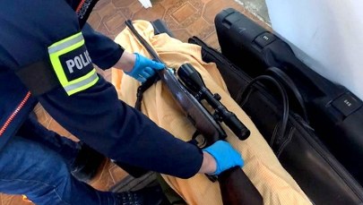 Dwóch myśliwych odpowie za nielegalny odstrzał jelenia