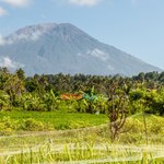Dwoje Polaków zatrzymanych na Bali. Są podejrzewani o nielegalną pracę
