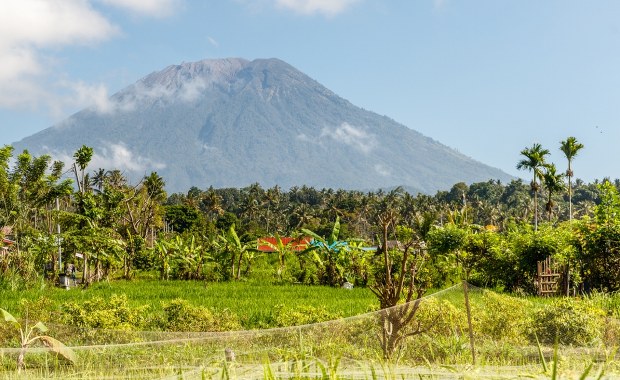 Dwoje Polaków zatrzymanych na Bali. Są podejrzewani o nielegalną pracę