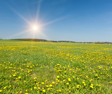 Dwucyfrowe wskazania na termometrach. Wiosna coraz bliżej 
