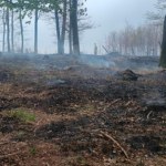 Dwudniowa walka z ogniem w Lipnicy Górnej. Strażacy opanowali sytuację