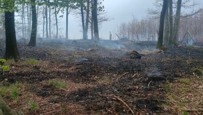 Dwudniowa walka z ogniem w Lipnicy Górnej. Strażacy opanowali sytuację