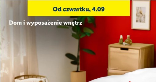 Dwuwarstwowa kołdra LIVARNO home /Lidl /INTERIA.PL