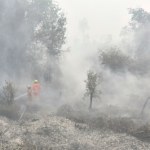 Dym po pożarach lasów u sąsiada paraliżuje kraj. Szkoły pozamykane