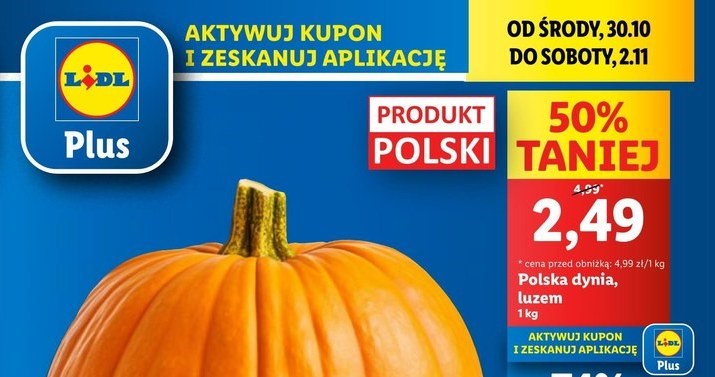 Dynia 74% taniej w Lidlu! /Lidl /INTERIA.PL