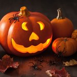 Dynia na Halloween za złotówkę w Lidlu! Nie przegap tej okazji!