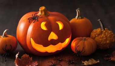 Dynia na Halloween za złotówkę w Lidlu! Nie przegap tej okazji!