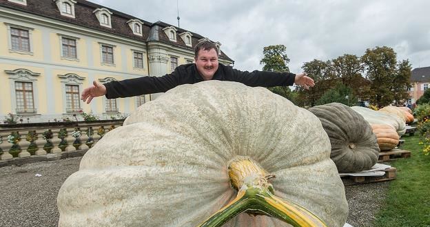 Dynia pana Jasera o wadze 812,5 kg /EPA