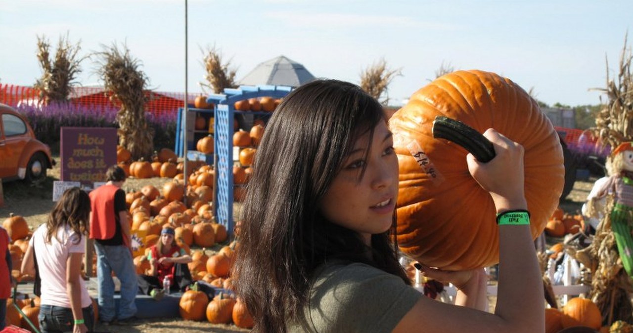 Dynie-giganty. Ważą nawet 800 kg!