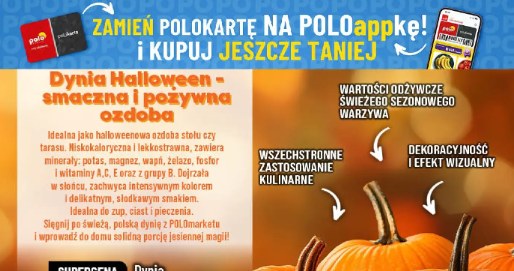 Dynie jadalne i ozdobne już od 2,99 zł/kg w Polomarkecie! /POLOmarket /INTERIA.PL
