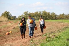 Dyniowe szaleństwo w rytmie country