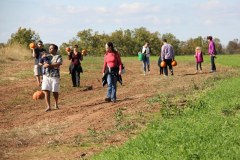 Dyniowe szaleństwo w rytmie country