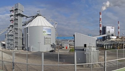 Dyrektor Elektrowni Szczecin zatrzymany przez CBA