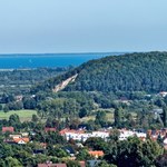 Dyrektor Lasów Państwowych składa zawiadomienie ws. sprzedaży mieszkań w Gdyni
