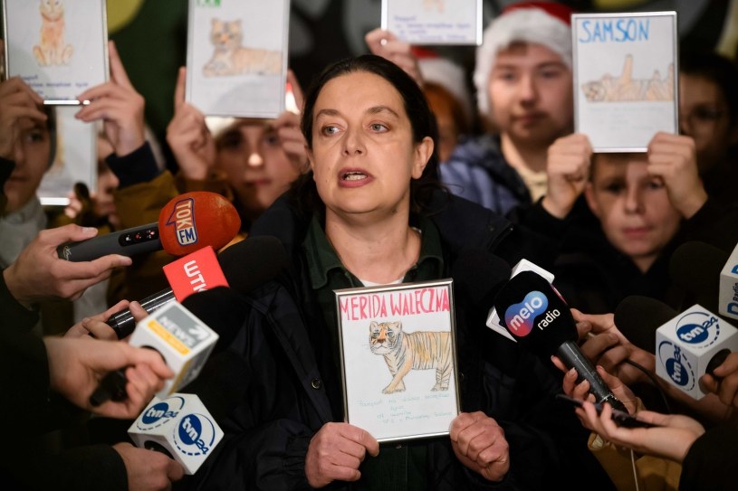 łucja I Adam Przeprowadzili Ankietę Przy Wyjściu Z Ogrodu Zoologicznego Poznańskie zoo: Wyjazd tygrysów do Hiszpanii niemożliwy - fakty.interia.pl