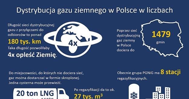 Dystrybucja gazu ziemnego w Polsce. Rys. Wysokienapiecie.pl /Informacja prasowa
