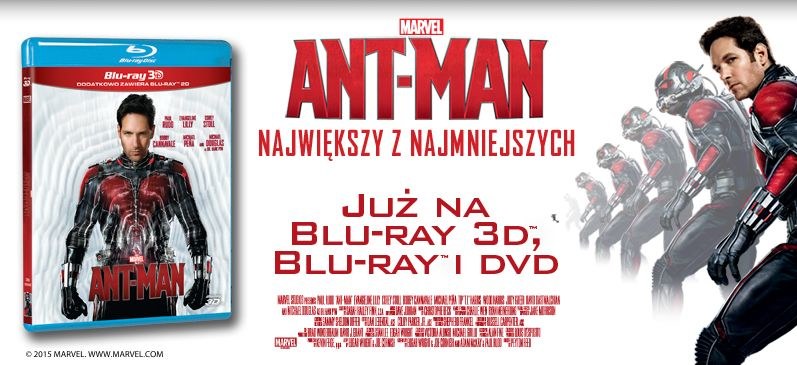 Dystrybutorem filmu "Ant-Man" na płytach DVD i Blu-ray jest Galapagos Films /materiały dystrybutora