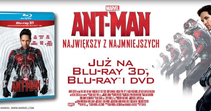 Dystrybutorem filmu "Ant-Man" na płytyach DVD i blu-ray jest Galapagos Films /materiały dystrybutora